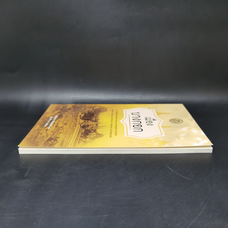 เมืองบางกอก จากหนังสือ Twentieth Century - กรมศิลปากร รูปที่ 5