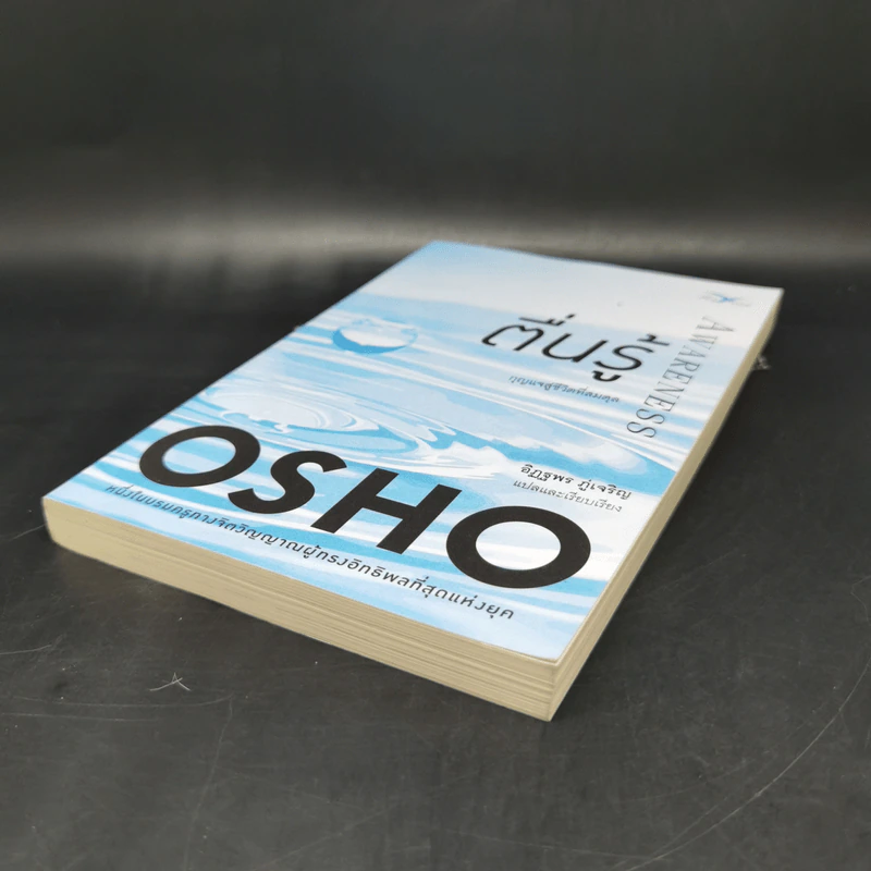 ตื่นรู้ กุญแจสู่ชีวิตที่สมดุล Awareness - Osho รูปที่ 7