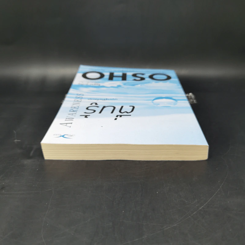 ตื่นรู้ กุญแจสู่ชีวิตที่สมดุล Awareness - Osho รูปที่ 6