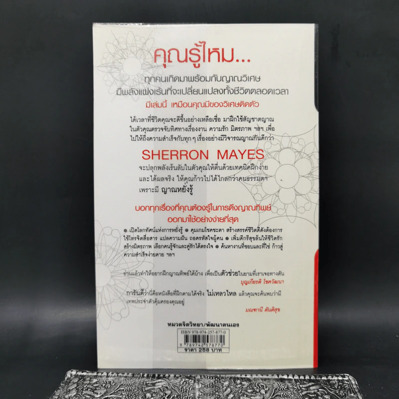 Be Your Own Psychic คนมีญาณ - Sherron Mayes รูปที่ 2