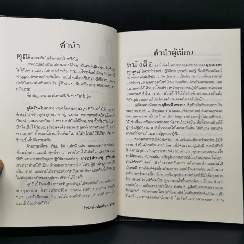 ดูจิตชั่วพริบตา - ปัญญาวโรภิกขุ (ประเสริฐ อุทัยเฉลิม) รูปที่ 10