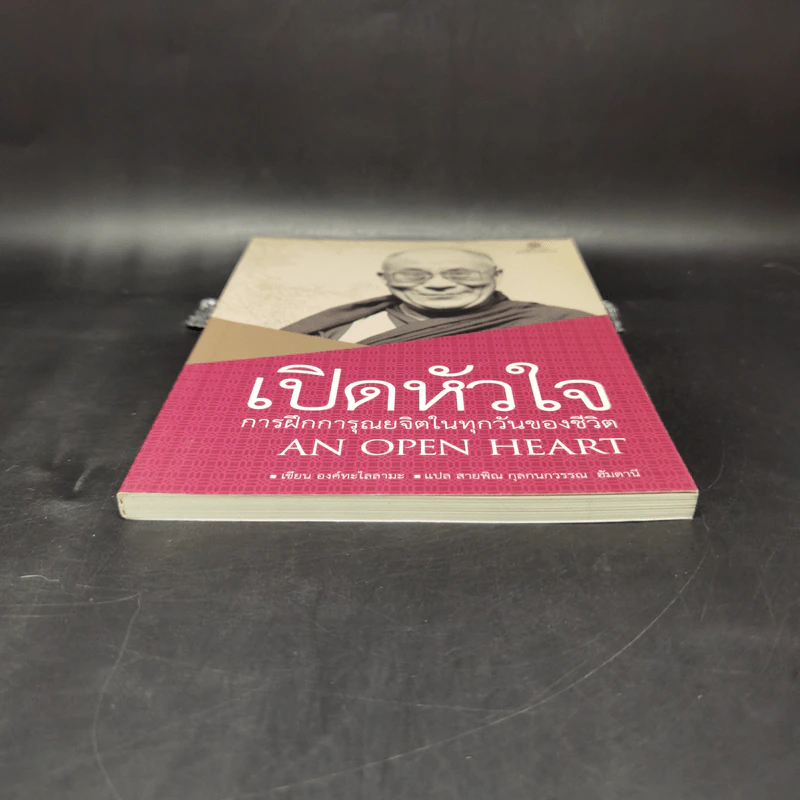 เปิดหัวใจการฝึกการุณยจิตในทุกวันของชีวิต - องค์ทะไลลามะ รูปที่ 4