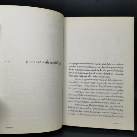 Third Eye Edutainment Essay - วรากรณ์ สามโกเศศ รูปที่ 11