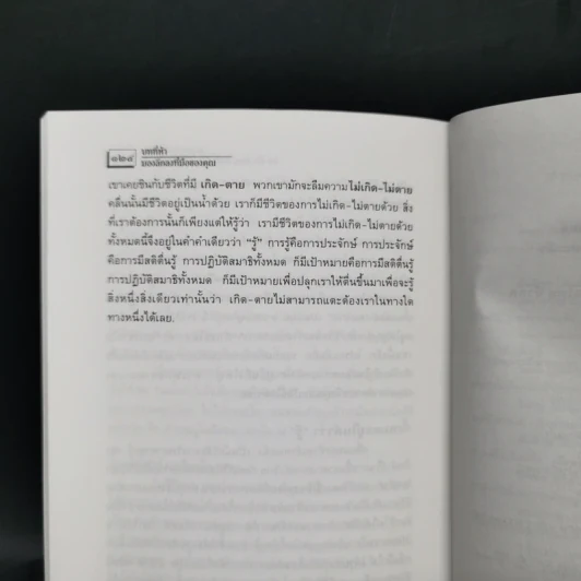 ดวงตะวันดวงใจฉัน - ติช นัท ฮันห์ รูปที่ 11