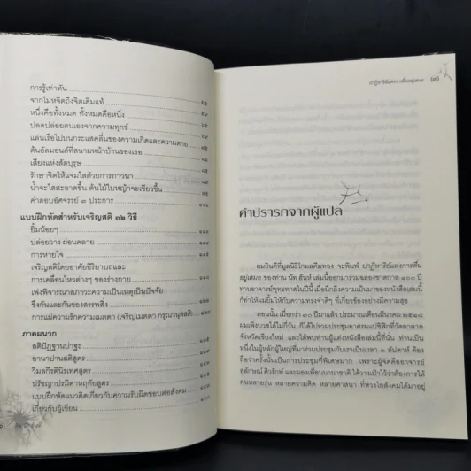 ปาฏิหาริย์แห่งการตื่นอยู่เสมอ - ติช นัท ฮันห์ รูปที่ 10