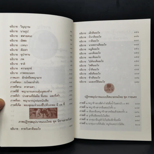 คู่มือศึกษาภาพปฏิจจสมุปบาท - พระคัมภีรญาณ อภิปุญโญ รูปที่ 10