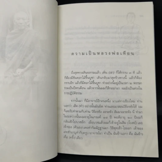 รู้ทุกข์รู้ธรรม ประสบการณ์การเจริญสติของหลวงพ่อเทียน รูปที่ 12