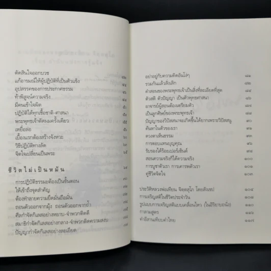 รู้ทุกข์รู้ธรรม ประสบการณ์การเจริญสติของหลวงพ่อเทียน รูปที่ 11