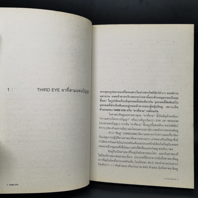 Third Eye Edutainment Essay - วรากรณ์ สามโกเศศ รูปที่ 11