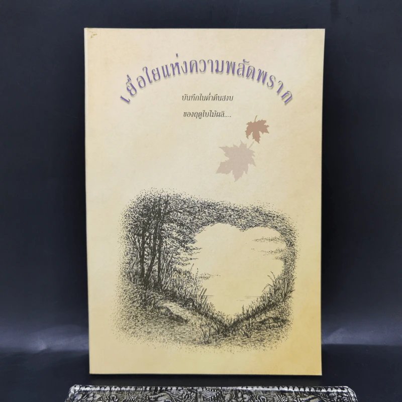 เยื่อใยแห่งความพลัดพราก - แพทย์เชิงดอย รูปที่ 1