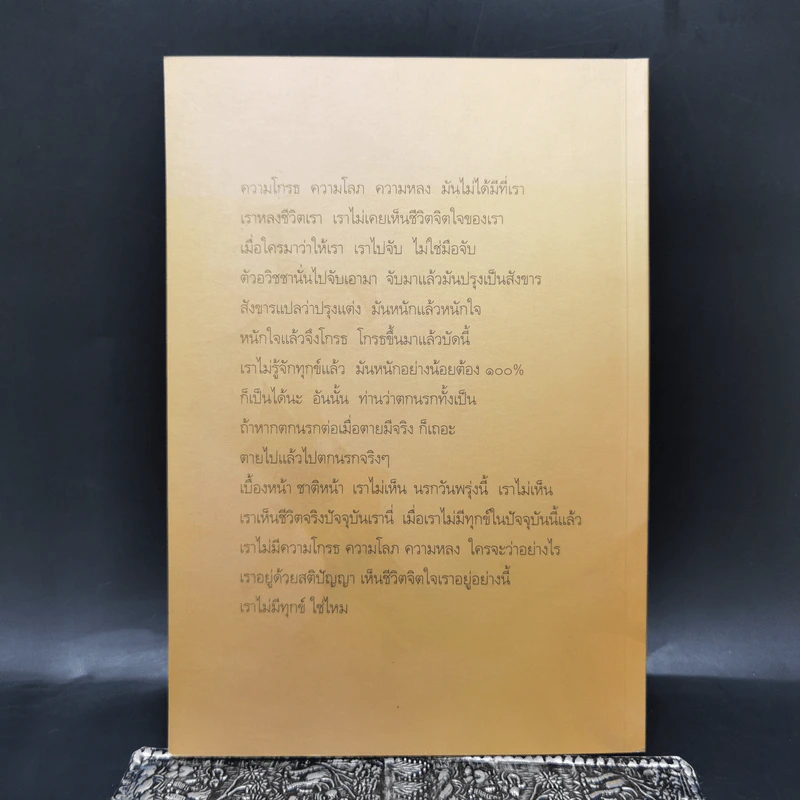 รู้ทุกข์รู้ธรรม ประสบการณ์การเจริญสติของหลวงพ่อเทียน รูปที่ 2