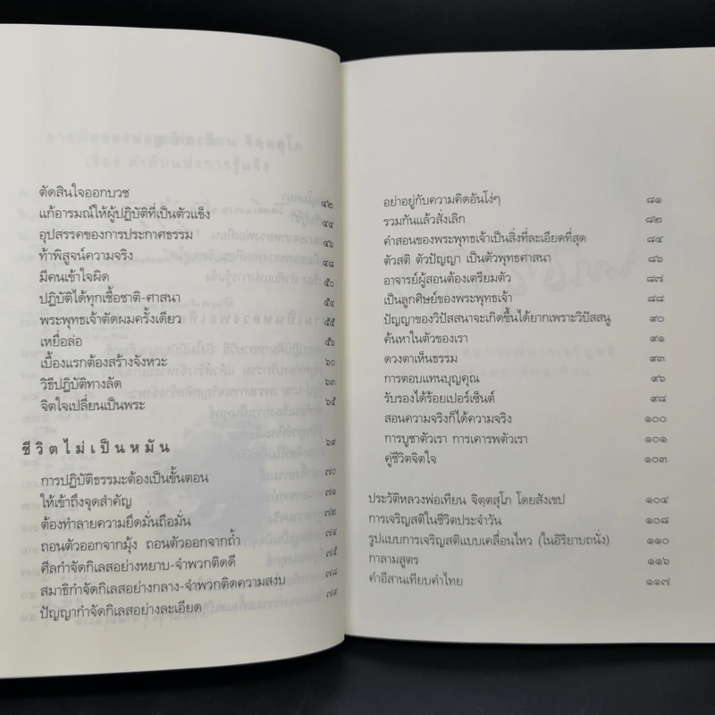 รู้ทุกข์รู้ธรรม ประสบการณ์การเจริญสติของหลวงพ่อเทียน รูปที่ 11