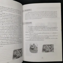 ไก่ทอดหาดใหญ่ - ศุภพิชญ์ โอภาสวิศัลย์ รูปที่ 12