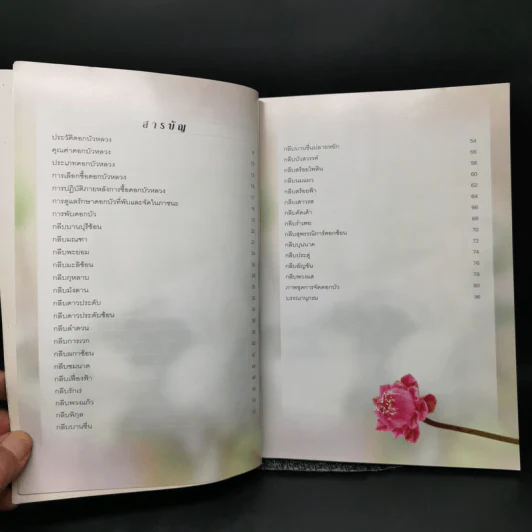 การพับและจัดดอกบัว - อาจารย์กัญญารัตน์ เห็นสว่าง รูปที่ 9