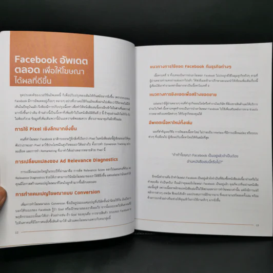 Facebook Advertising ยิงแอดตรงเป้ จ่ายเบาๆให้ดังและขายดี - ศุภณัฐ สุขโข รูปที่ 12