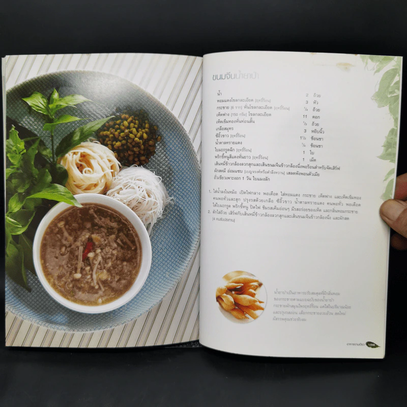อาหารฤทธิ์เย็น แนวธรรมชาติบำบัด ปรับสมดุล รักษาโรค รูปที่ 13