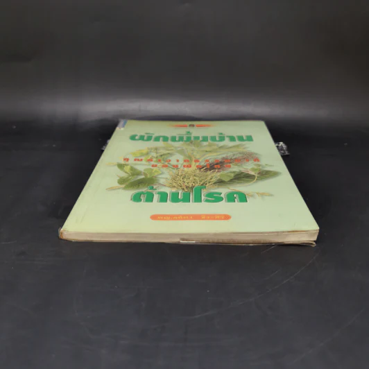 ผักพื้นบ้านต้านโรค - พญ.ลลิตา ธีระสิริ รูปที่ 4