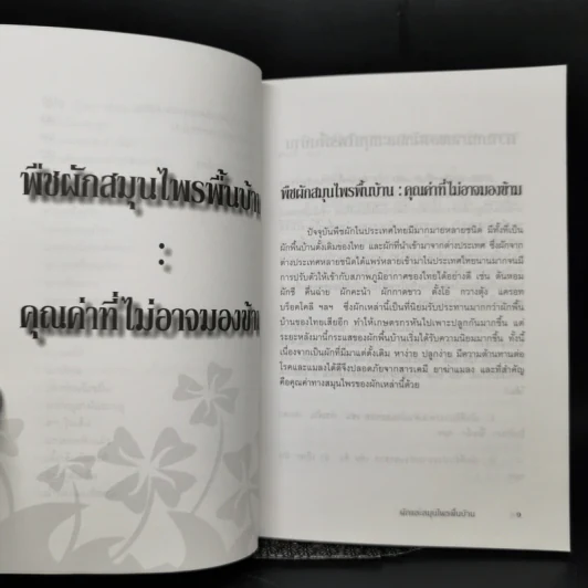 ผักและสมุนไพรพื้นบ้าน - ฐาปนี รูปที่ 11