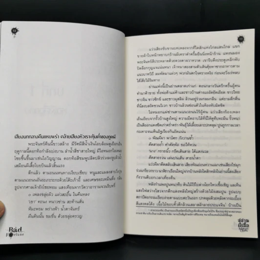 สุสานผีเสื้อ Midnight Opera - มายาโรส รูปที่ 10