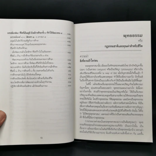 พุทธธรรม (ฉบับเดิม) - สมเด็จพระพุทธโฆษาจารย์ (ป.อ.ปยุตโต) รูปที่ 12