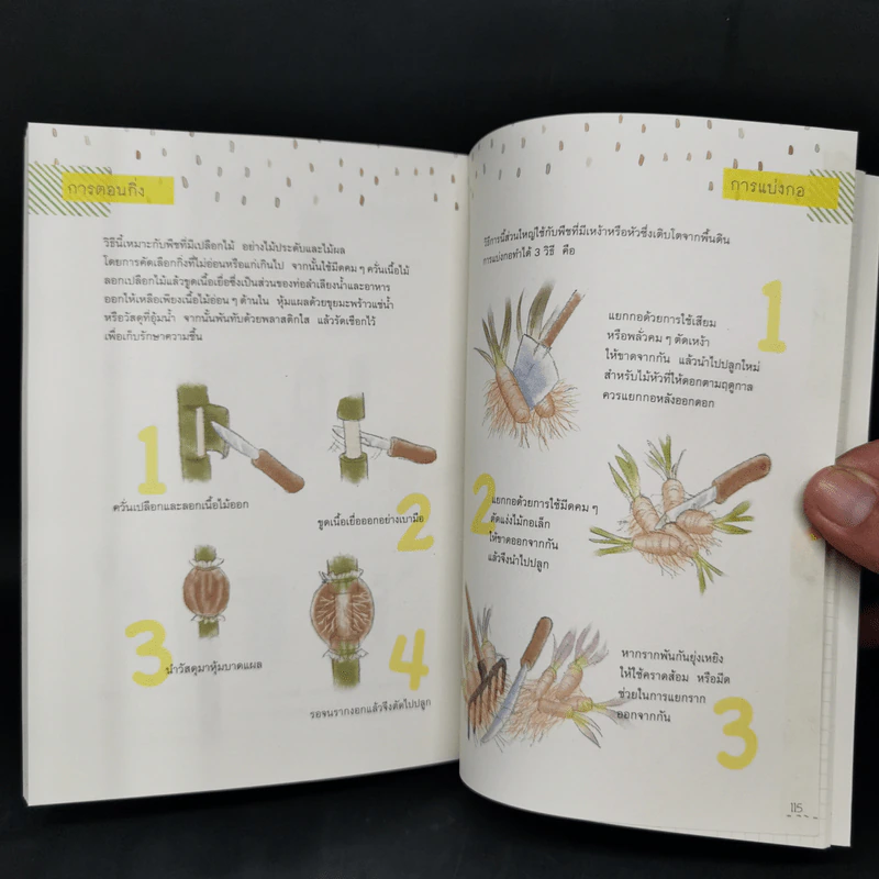 A Beginner’s Guide to Gardening คู่มือทำสวนฉบับเริ่มต้น - ทิพาพรรณ ศิริเวชฎารักษ์ รูปที่ 11