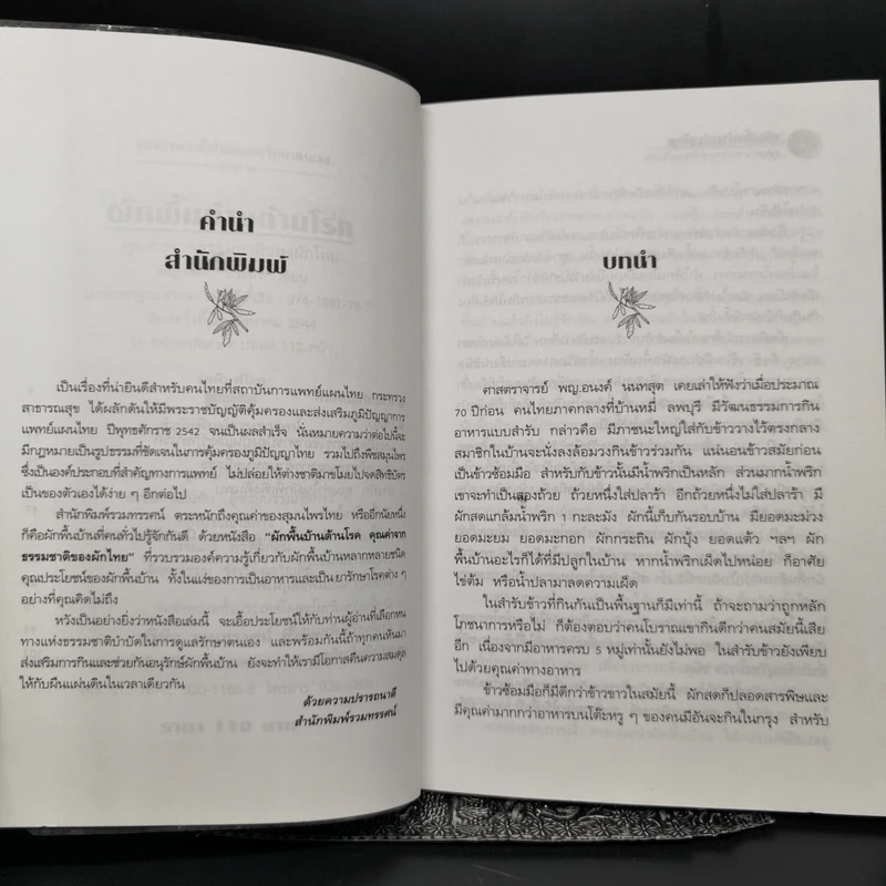 ผักพื้นบ้านต้านโรค - พญ.ลลิตา ธีระสิริ รูปที่ 9
