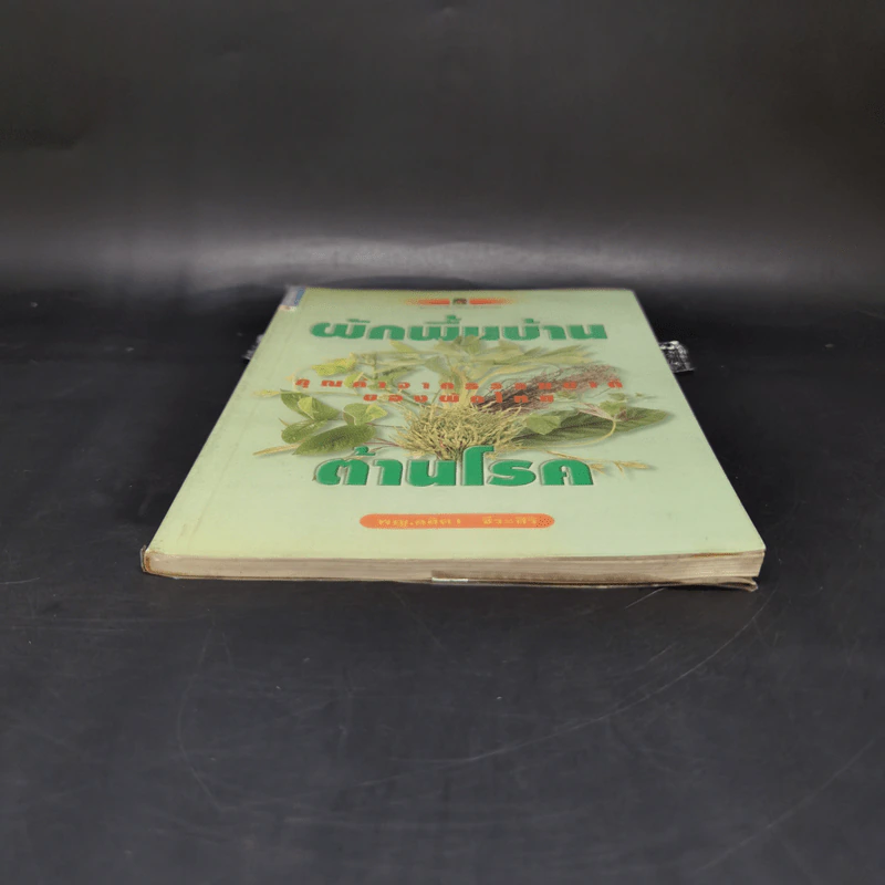 ผักพื้นบ้านต้านโรค - พญ.ลลิตา ธีระสิริ รูปที่ 4
