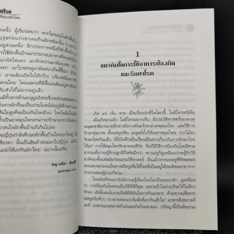 ผักพื้นบ้านต้านโรค - พญ.ลลิตา ธีระสิริ รูปที่ 10