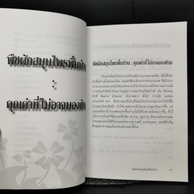 ผักและสมุนไพรพื้นบ้าน - ฐาปนี รูปที่ 11