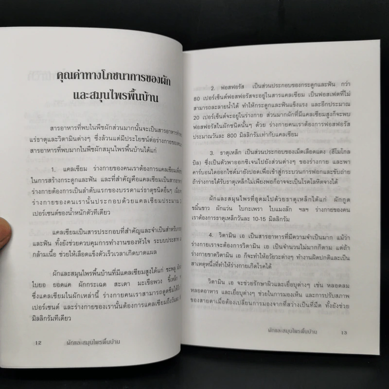 ผักและสมุนไพรพื้นบ้าน - ฐาปนี รูปที่ 12