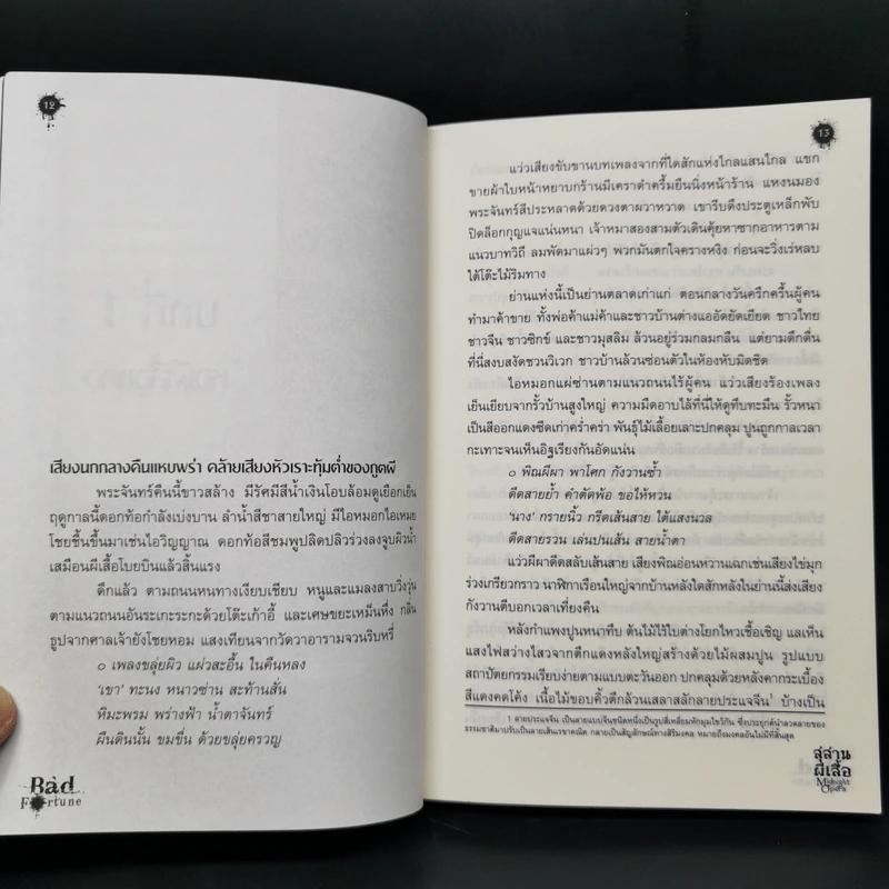 สุสานผีเสื้อ Midnight Opera - มายาโรส รูปที่ 10