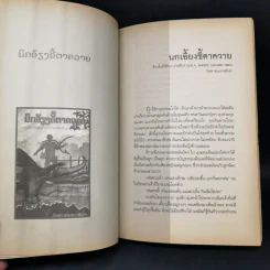 พลิกแผ่นดิน ปลิ้นแผ่นฟ้า - วีระพงศ์ มีสถาน รูปที่ 11