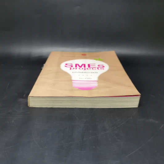 SMEs Projects ธุรกิจไซส์เล็กกะทัดรัด - วีรภา ดำสนิท รูปที่ 4