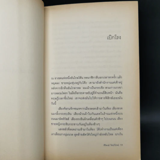 ความฝันของไอน์สไตน์ Einst Ein's Dreams รูปที่ 11