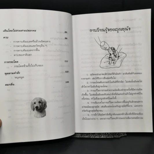 คู่มือฝึกหมาให้เป็นสุนัข - สมลักษณ์ สว่างโรจน์ รูปที่ 11