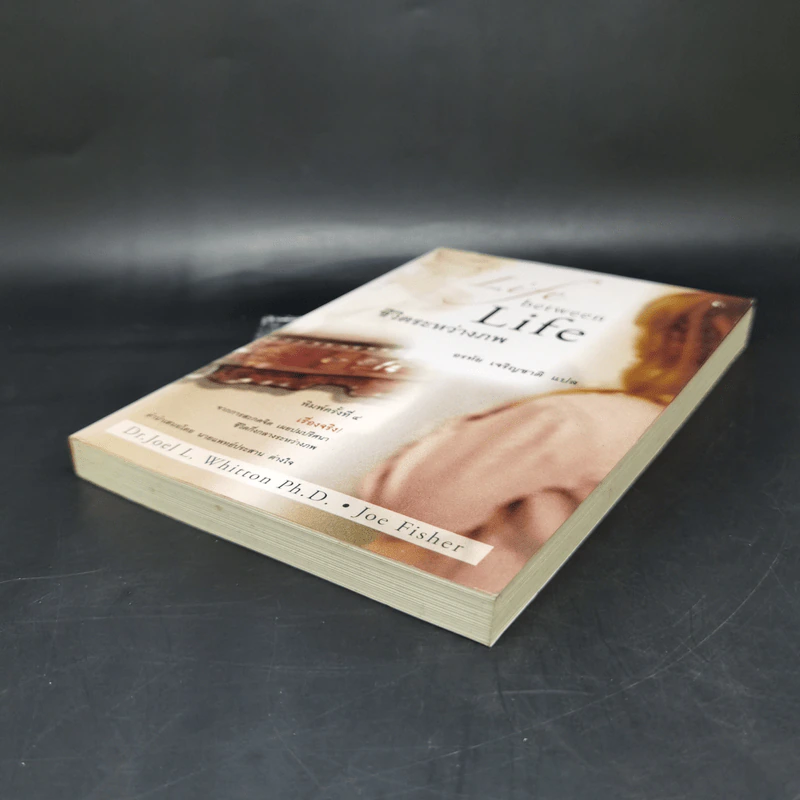 ชีวิตระหว่างภพ Life between Life - Joe Fisher, Ph.D. Whitton, Dr. Joel L., อรทัย เจริญชาติ รูปที่ 7