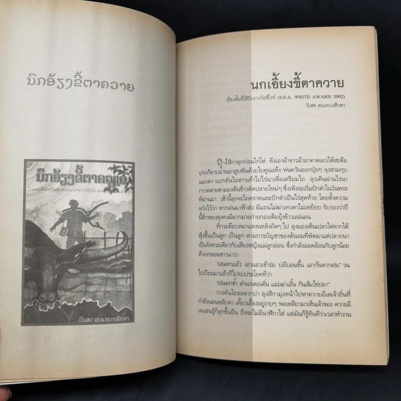 พลิกแผ่นดิน ปลิ้นแผ่นฟ้า - วีระพงศ์ มีสถาน รูปที่ 11