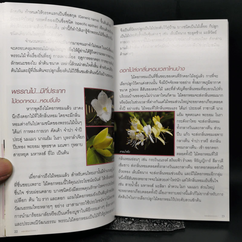 ร้อยพรรณพฤกษา พรรณไม้ดอก ไม้ประดับ 1 - เศรษฐมันตร์ กาญจนกุล รูปที่ 11