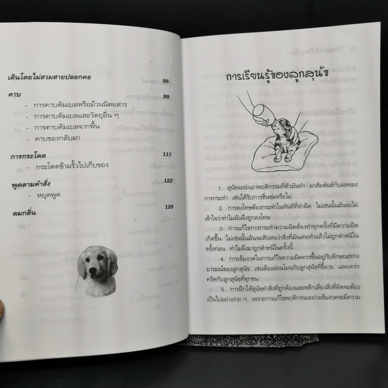 คู่มือฝึกหมาให้เป็นสุนัข - สมลักษณ์ สว่างโรจน์ รูปที่ 11