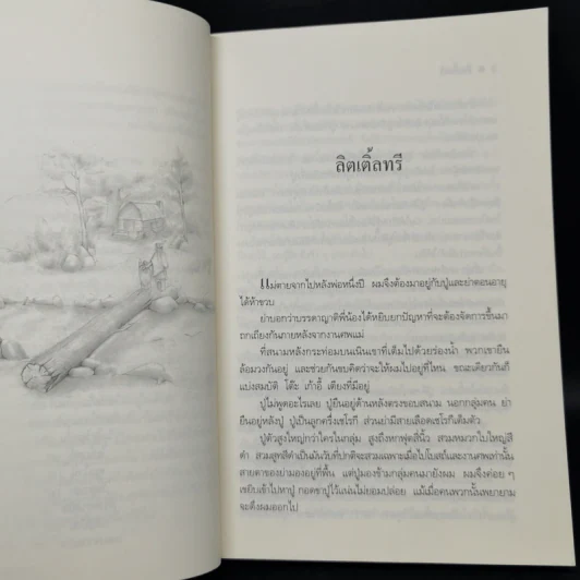 ลิตเติ้ลทรี - ฟอร์เรสต์ คาเตอร์ รูปที่ 10