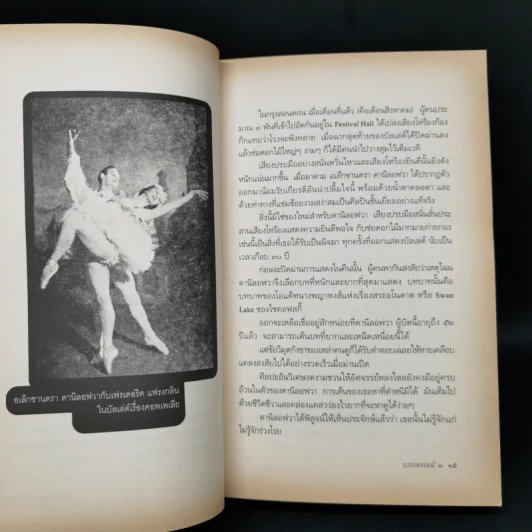 บรรเลงรมย์ 2 - จิ๋ว บางซื่อ รูปที่ 11