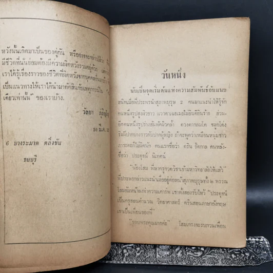 วันหนึ่ง - วัลยา ภู่ภิญโญ รูปที่ 10