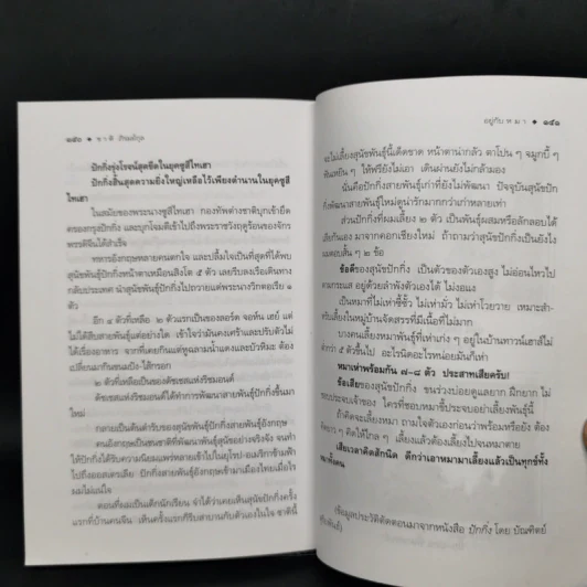 อยู่กับหมา - ชาติ ภิรมย์กุล รูปที่ 11
