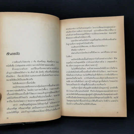 สองเงาในเกาหลี - ทรงกลด บางยี่ขัน รูปที่ 11
