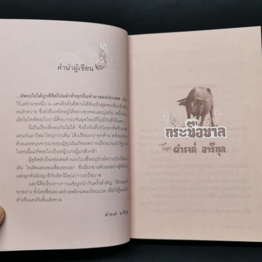 กระบือบาล - ดำรงค์ อารีกุล รูปที่ 9