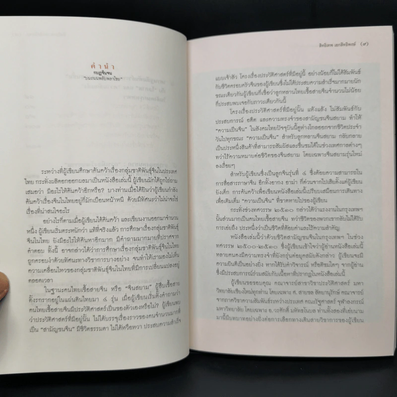 กบฏจีนจน บนนถนนพลับพลาไชย - สิทธิเทพ เอกสิทธิพงษ์ รูปที่ 10
