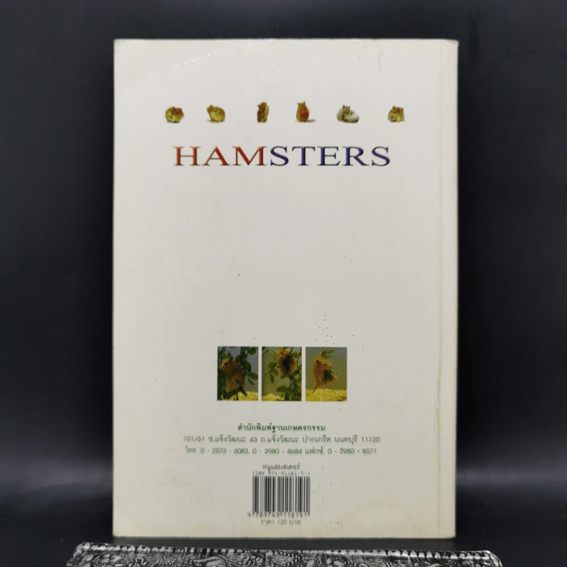 หนูแฮมสเตอร์ Hamsters - กณิกนันต์ ลีฬฆวรรณ รูปที่ 2