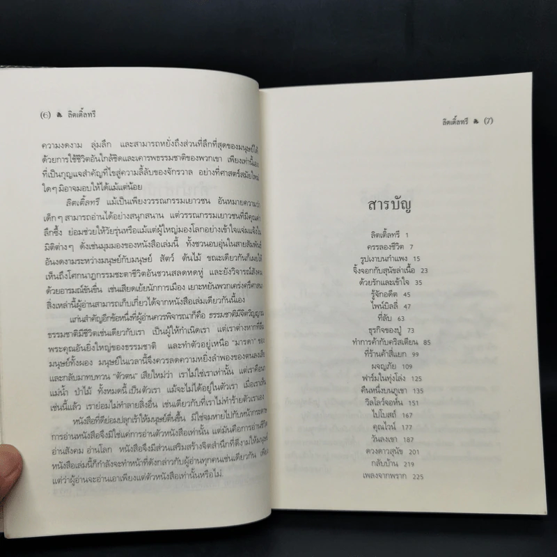 ลิตเติ้ลทรี - ฟอร์เรสต์ คาเตอร์ รูปที่ 9