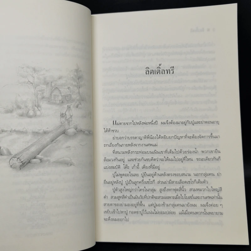 ลิตเติ้ลทรี - ฟอร์เรสต์ คาเตอร์ รูปที่ 10