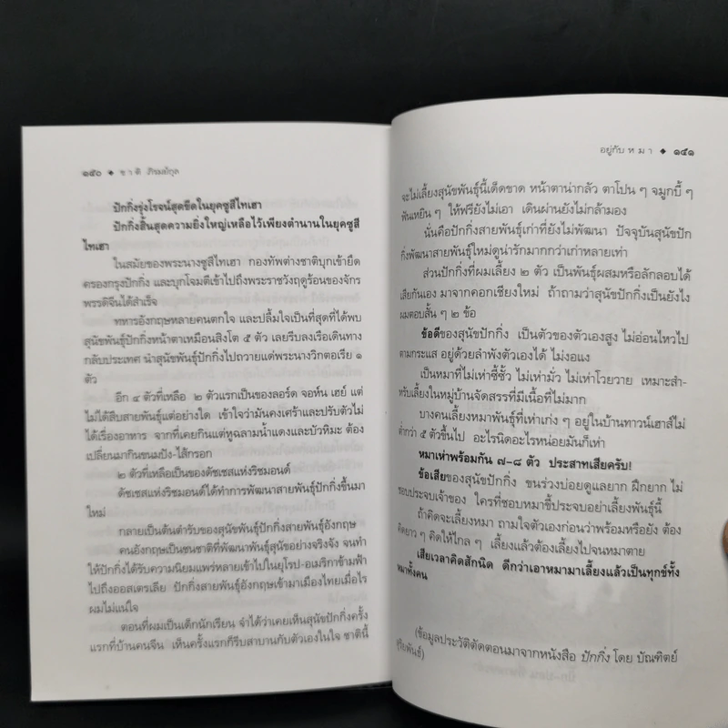 อยู่กับหมา - ชาติ ภิรมย์กุล รูปที่ 11